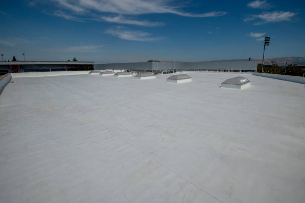 Best Roof Insulation Installation  in Arcola, IL