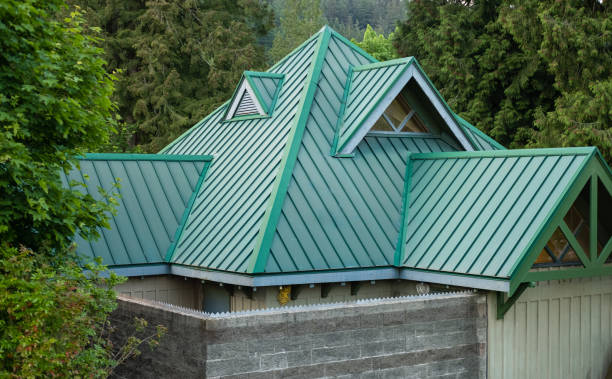 Best Roof Moss and Algae Removal  in Arcola, IL